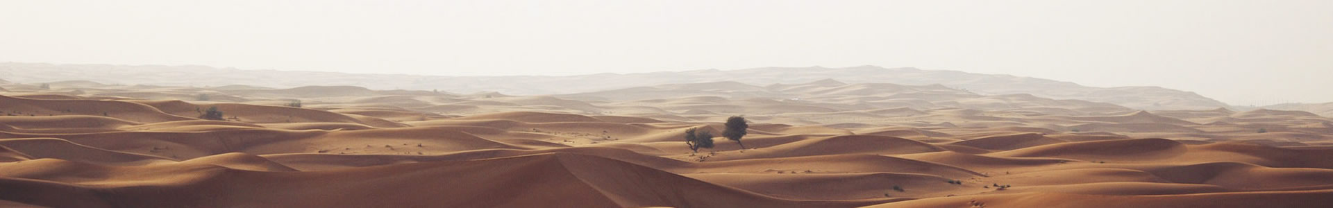 ɽʡеƼ޹˾